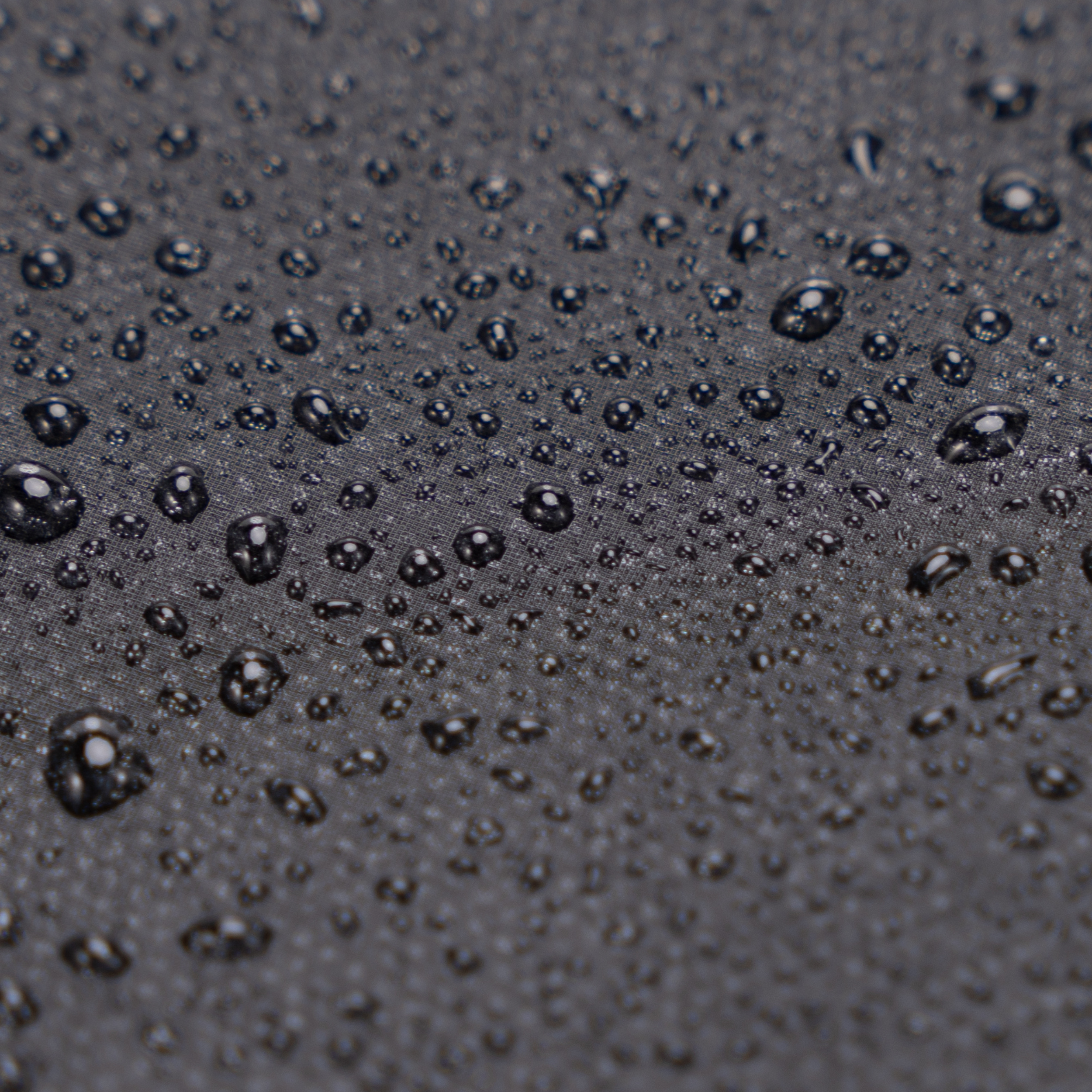 Zaino Roll-Top CELIMS - Bagaglio a mano 40x30x20cm - Impermeabile e ultra resistente - Nero